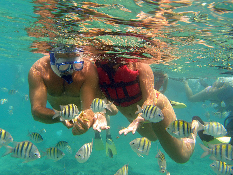Catalina Island: a True California Paradise